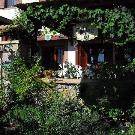 Aliye Hanim Ayvalı