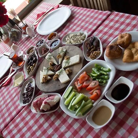 בית הארחה Aliye Hanim Ayvalı