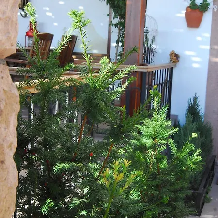 בית הארחה Aliye Hanim 4*